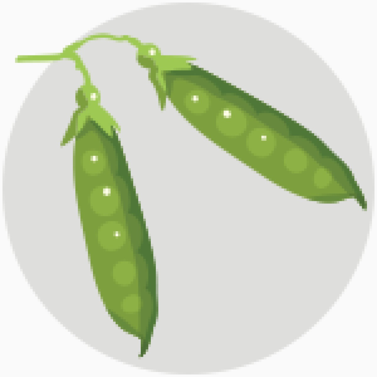 zoldborso.png