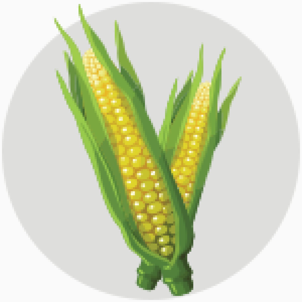 csemegekukorica.png
