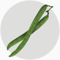 ZÖLDBAB