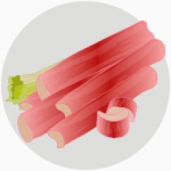 REBARBARA