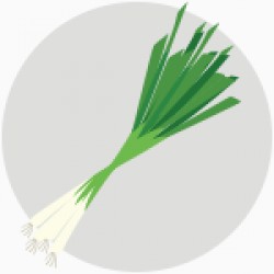UJHAGYMA