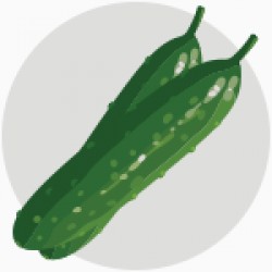 UBORKA
